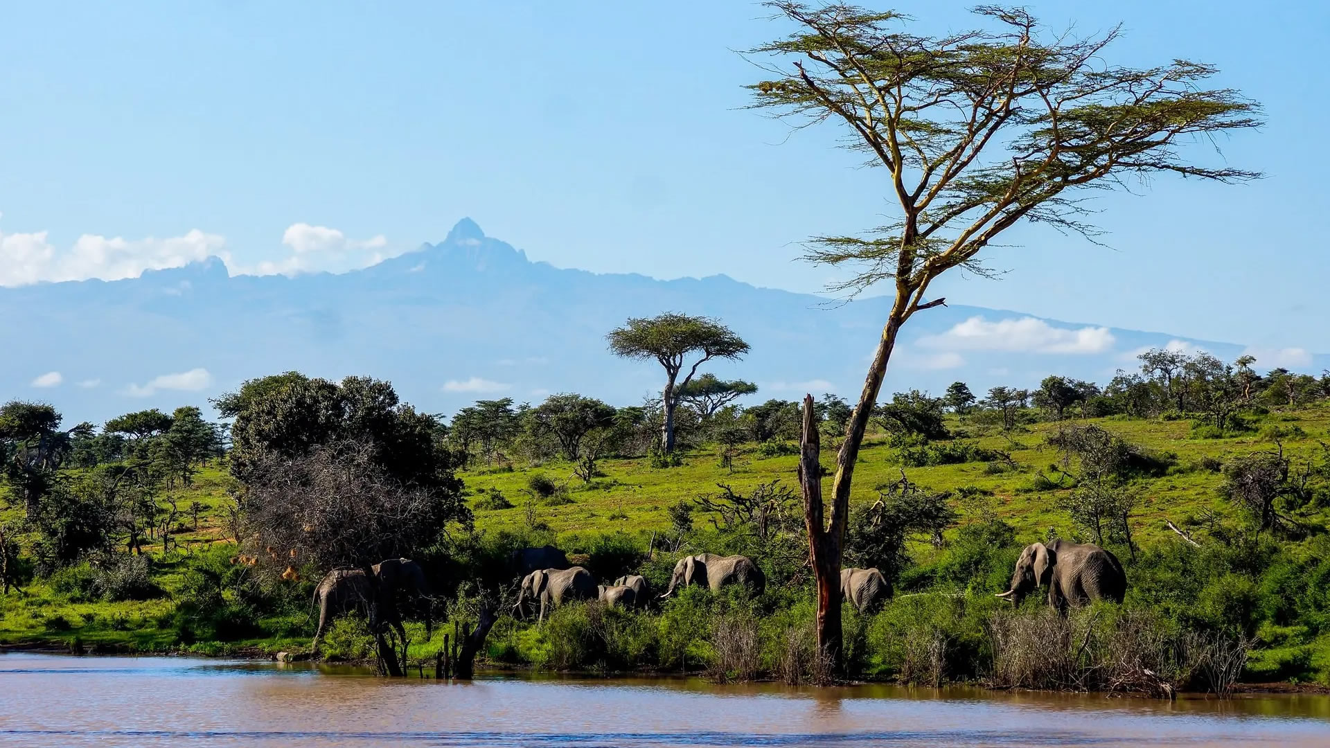 aberdare national park aberdare national park