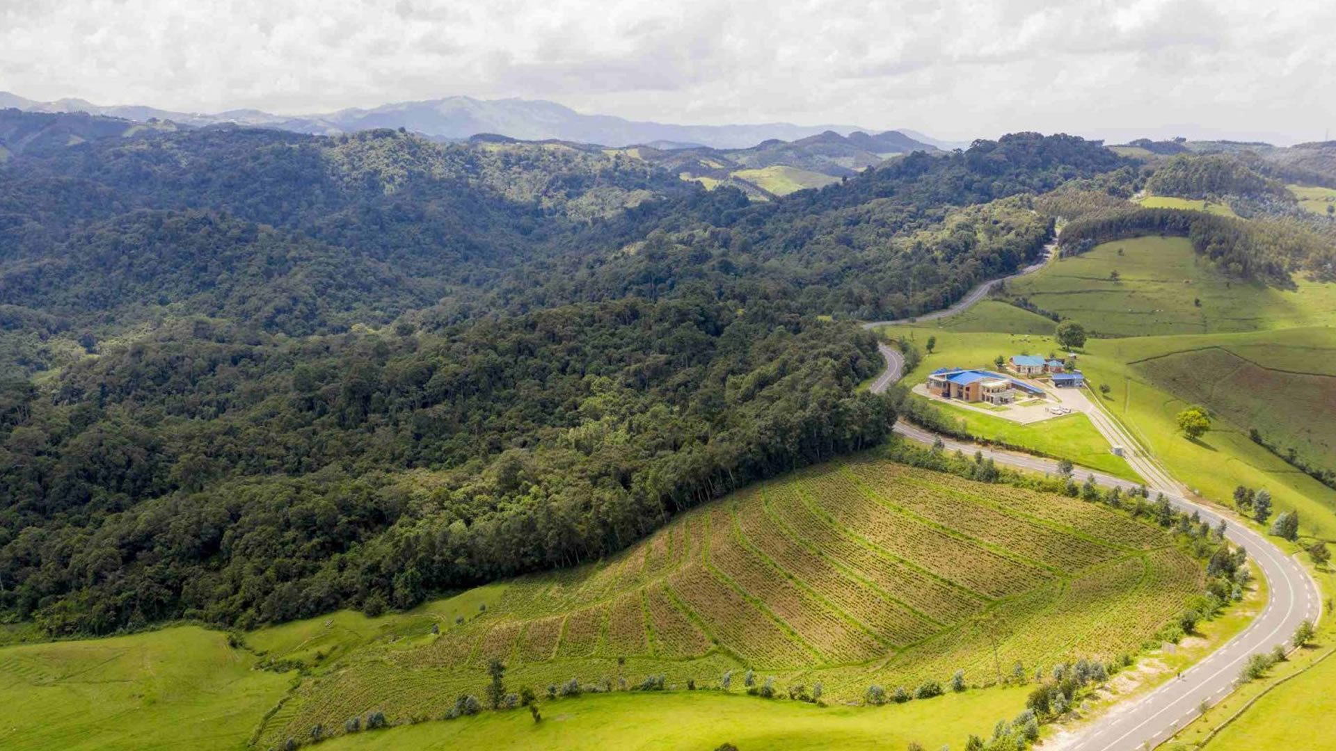 gishwati mukura national park gishwati mukura national park