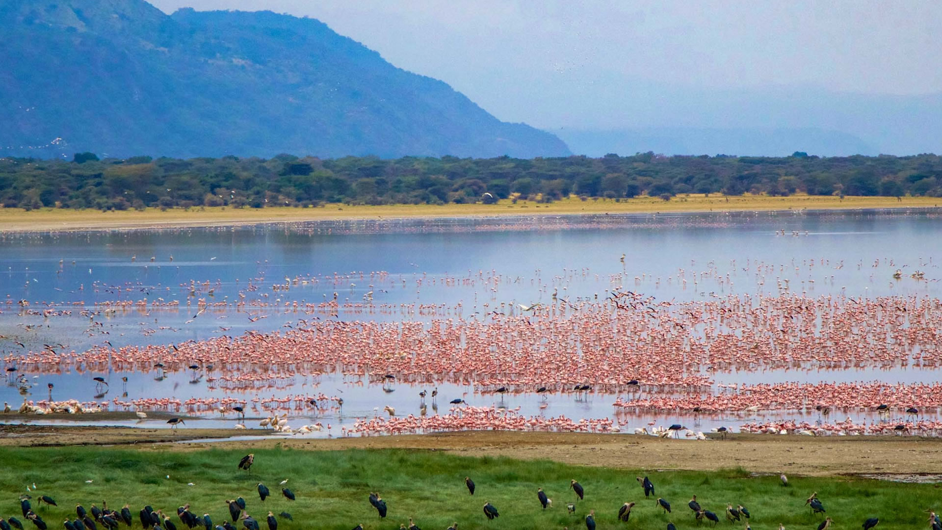 lake manyara national park lake manyara national park