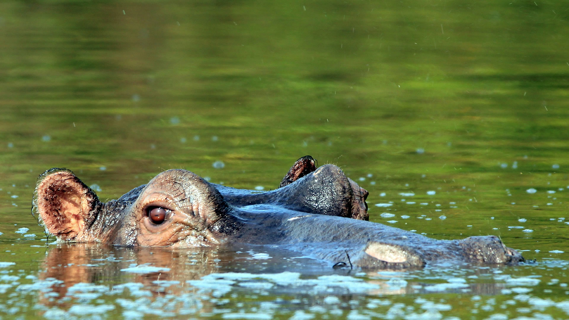 lake mburo national park lake mburo national park