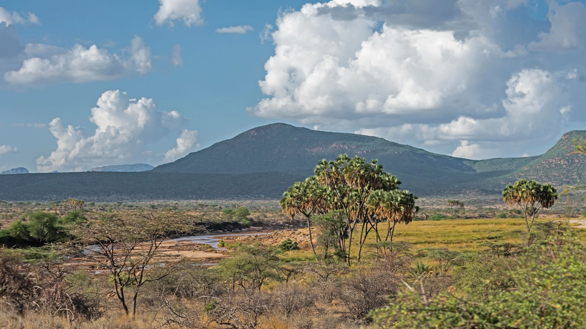 samburu national reserve samburu national reserve