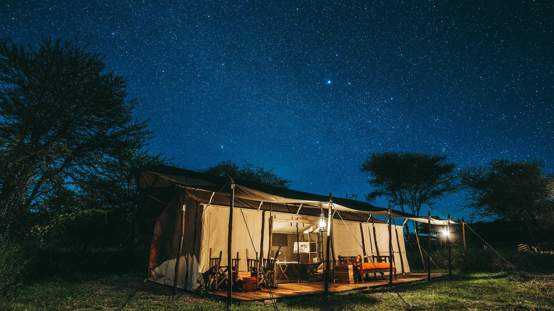 9 days tanzania treetops and lemala experience 9 days tanzania treetops and lemala experience