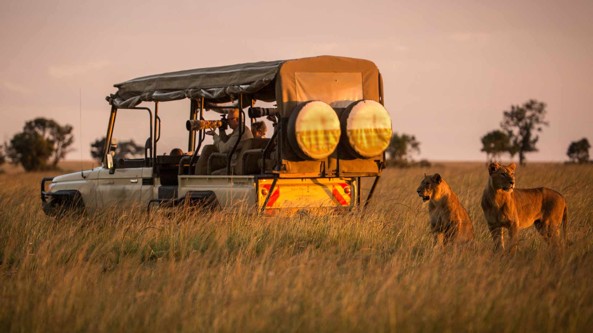 9 days wildlife highlights 9 days wildlife highlights